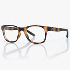 Dorsey Rx